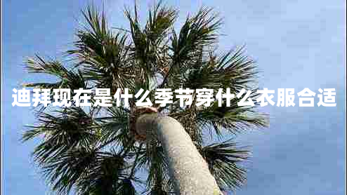 迪拜現在是什么季節穿什么衣服合適