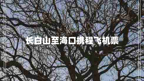 長(cháng)白山至海口攜程飛機票