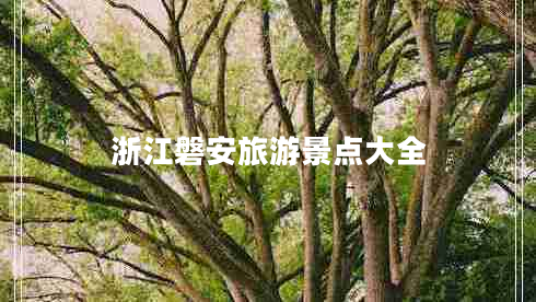 浙江磐安旅游景點(diǎn)大全