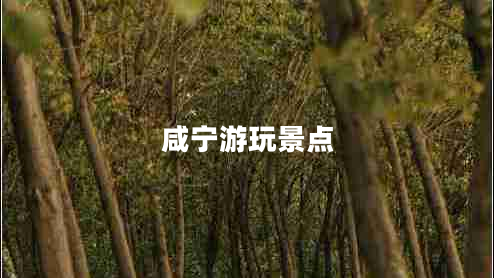 咸寧游玩景點(diǎn)