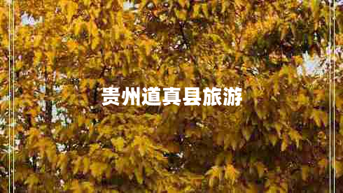 貴州道真縣旅游