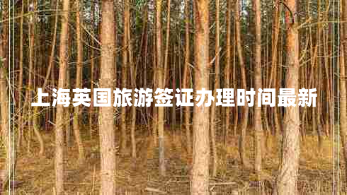 上海英國旅游簽證辦理時(shí)間最新
