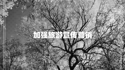 加強旅游宣傳營(yíng)銷(xiāo)
