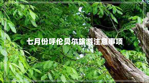 七月份呼倫貝爾旅游注意事項
