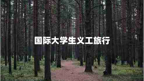 國際大學(xué)生義工旅行