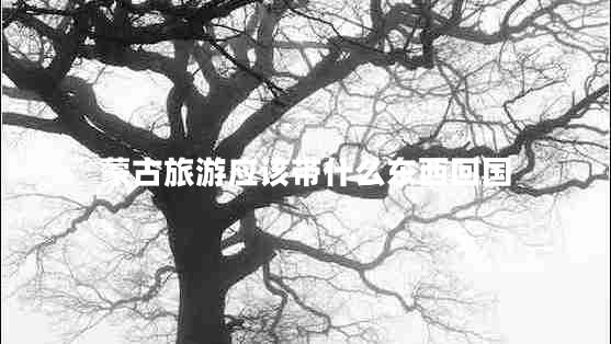 蒙古旅游應該帶什么東西回國