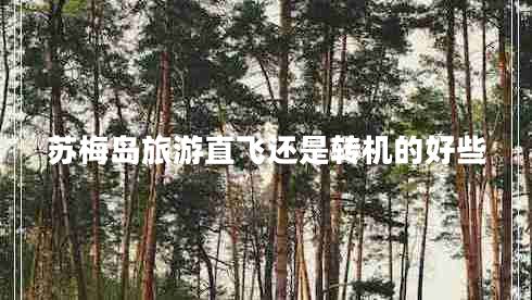 蘇梅島旅游直飛還是轉機的好些