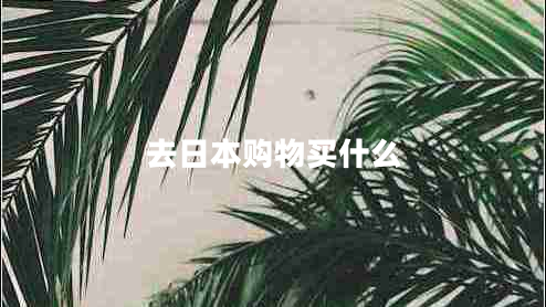 去日本購物買(mǎi)什么