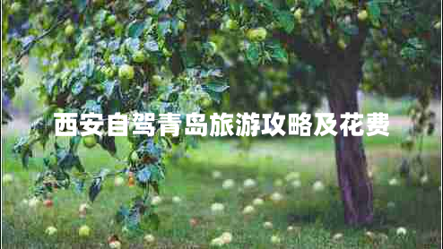 西安自駕青島旅游攻略及花費