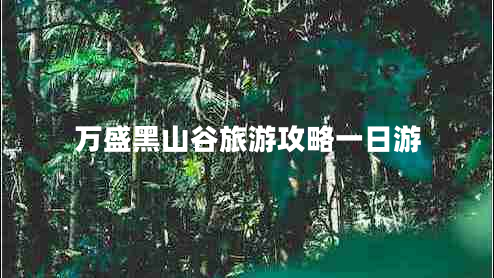 萬(wàn)盛黑山谷旅游攻略一日游