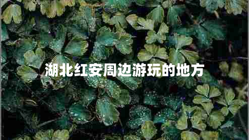 湖北紅安周邊游玩的地方
