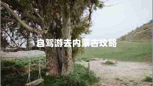 自駕游去內蒙古攻略