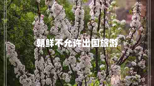 朝鮮不允許出國旅游