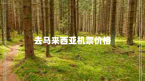 去馬來(lái)西亞機票價(jià)格