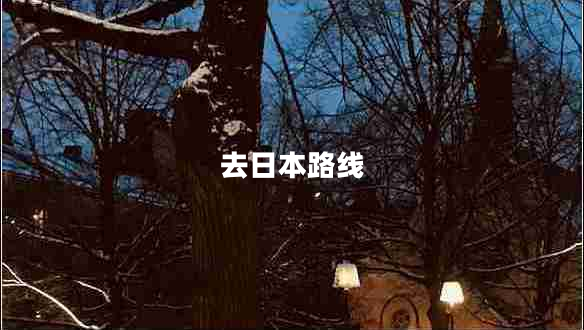 去日本路線(xiàn)