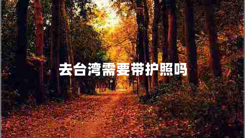 去臺灣需要帶護照嗎
