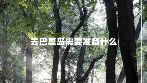 去巴厘島需要準備什么