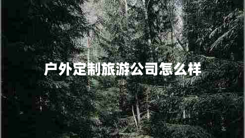 戶(hù)外定制旅游公司怎么樣
