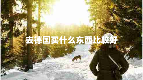 去德國買(mǎi)什么東西比較好