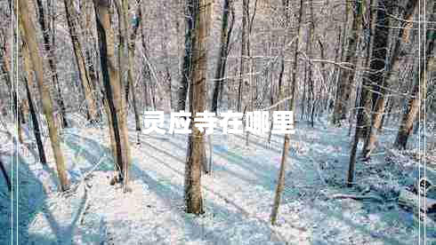 靈應寺在哪里