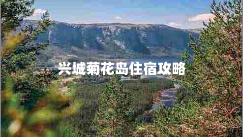 興城菊花島住宿攻略