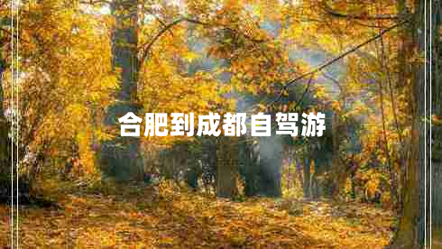 合肥到成都自駕游