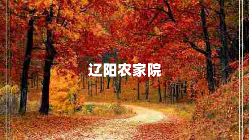 遼陽(yáng)農家院