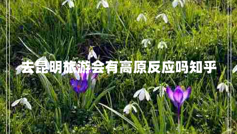 去昆明旅游會(huì )有高原反應嗎知乎