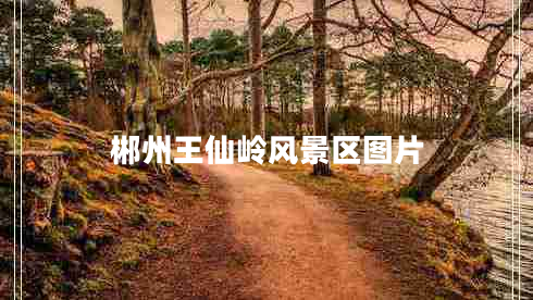 郴州王仙嶺風(fēng)景區圖片