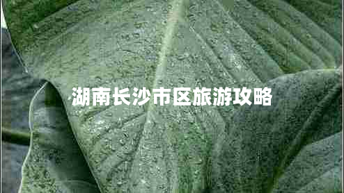 湖南長(cháng)沙市區旅游攻略
