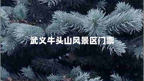 武義牛頭山風(fēng)景區門(mén)票