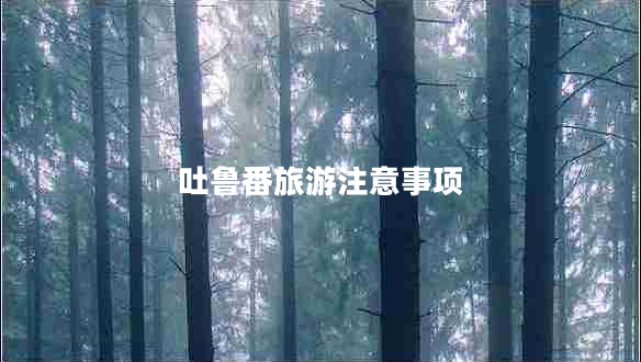 吐魯番旅游注意事項