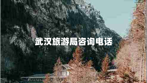 武漢旅游局咨詢(xún)電話(huà)