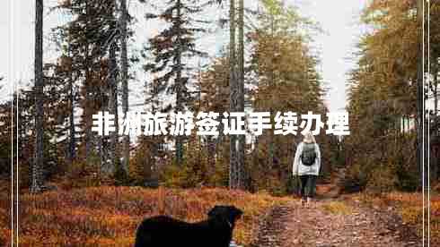 非洲旅游簽證手續辦理