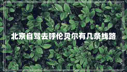 北京自駕去呼倫貝爾有幾條線(xiàn)路