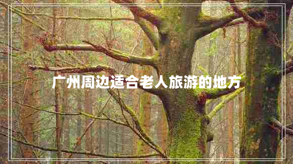 廣州周邊適合老人旅游的地方