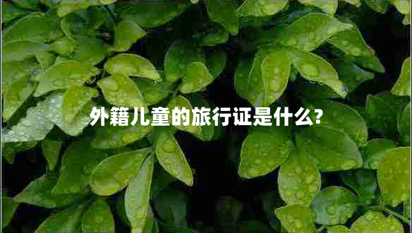 外籍兒童的旅行證是什么?