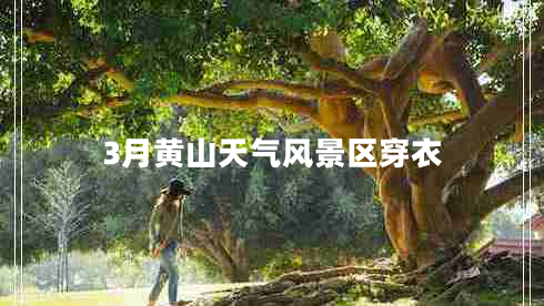 3月黃山天氣風(fēng)景區穿衣