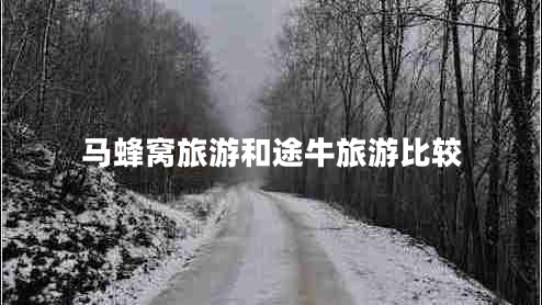 馬蜂窩旅游和途牛旅游比較