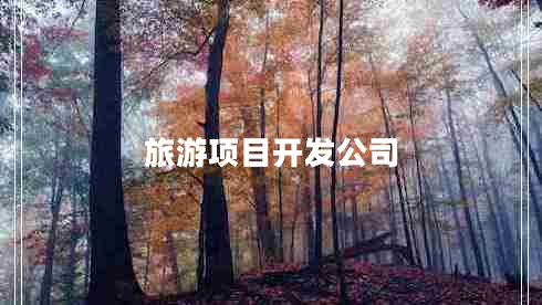 旅游項目開(kāi)發(fā)公司