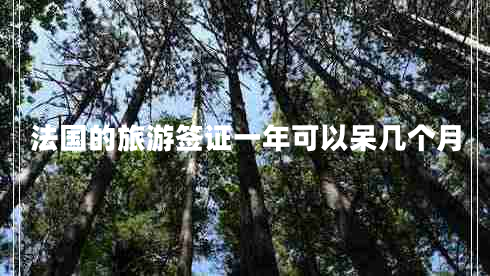 法國的旅游簽證一年可以呆幾個(gè)月