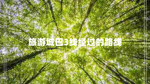 旅游城巴3線(xiàn)經(jīng)過(guò)的路線(xiàn)