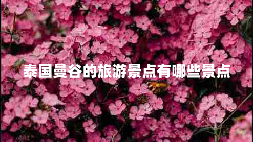 泰國曼谷的旅游景點(diǎn)有哪些景點(diǎn)