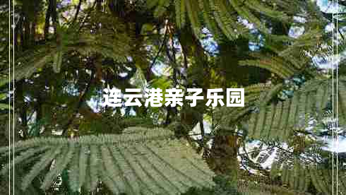 連云港親子樂(lè )園