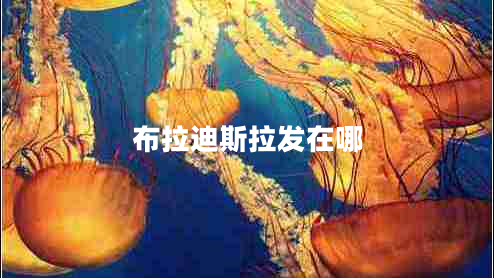 布拉迪斯拉發(fā)在哪