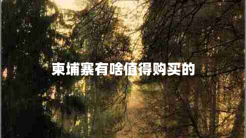 柬埔寨有啥值得購買(mǎi)的