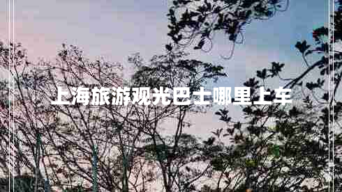 上海旅游觀(guān)光巴士哪里上車(chē)