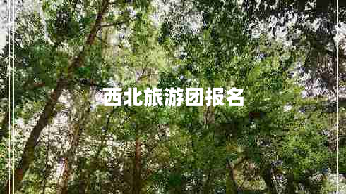 西北旅游團報名