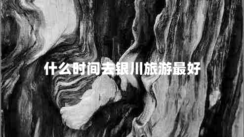 什么時(shí)間去銀川旅游最好
