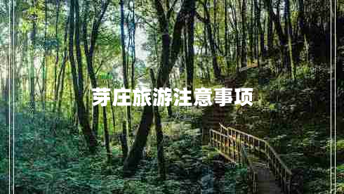 芽莊旅游注意事項